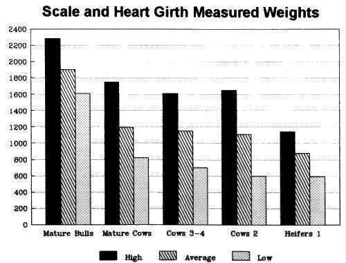 Cattle Birth Weight Chart