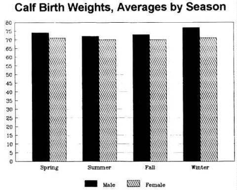 Cattle Birth Weight Chart