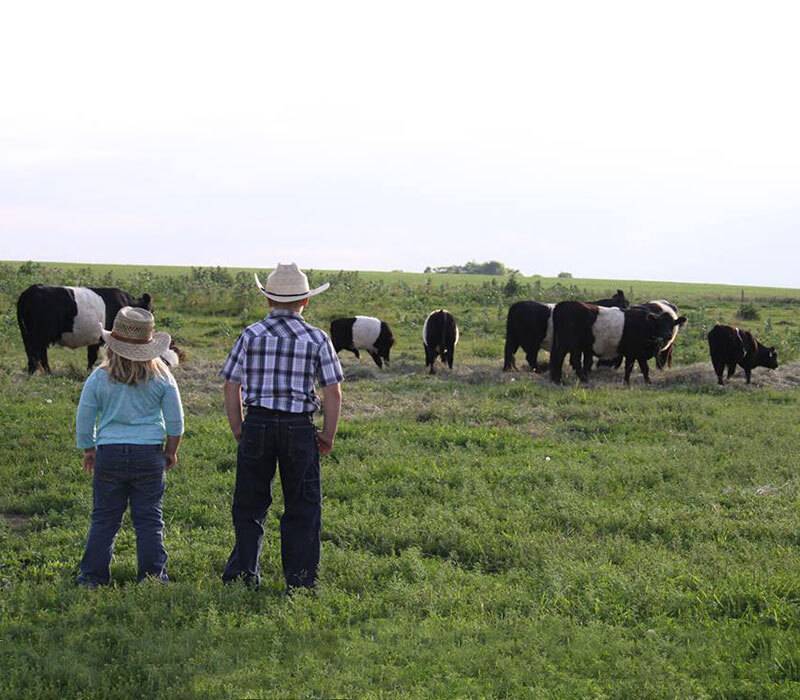 Two kids in western apparel looking out in to a field with cattle