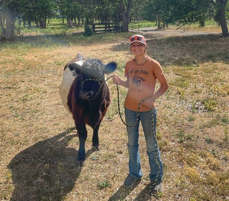 Young woman in orange shirt with a harnessed cow