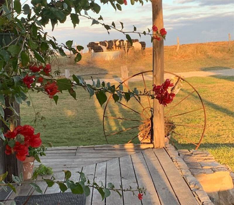 Front porch in the countryside with wagon wheel and red flowers on green vines